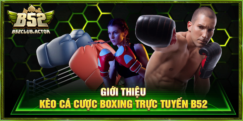 Cá Cược Boxing Trực Tuyến - Trải Nghiệm Đỉnh Cao Tại B52