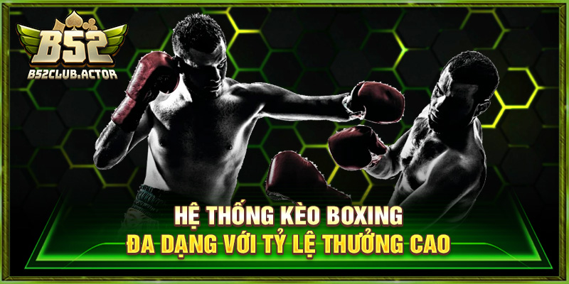 Hệ thống kèo boxing đa dạng với tỷ lệ thưởng cao