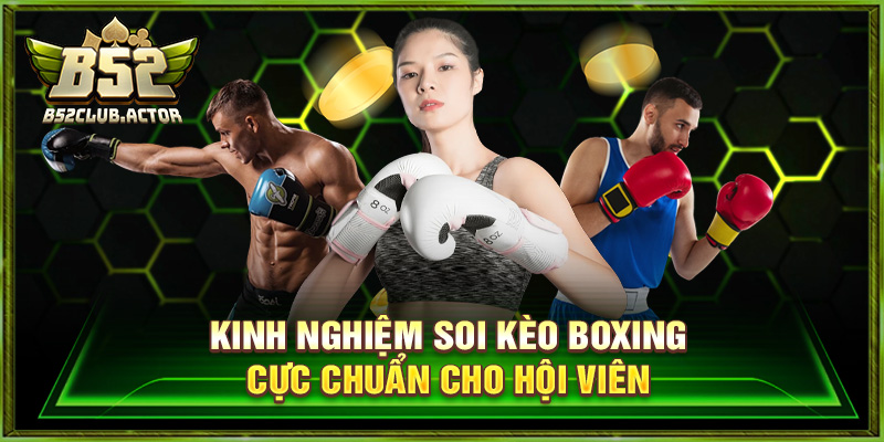Kinh nghiệm soi kèo boxing cực chuẩn cho hội viên
